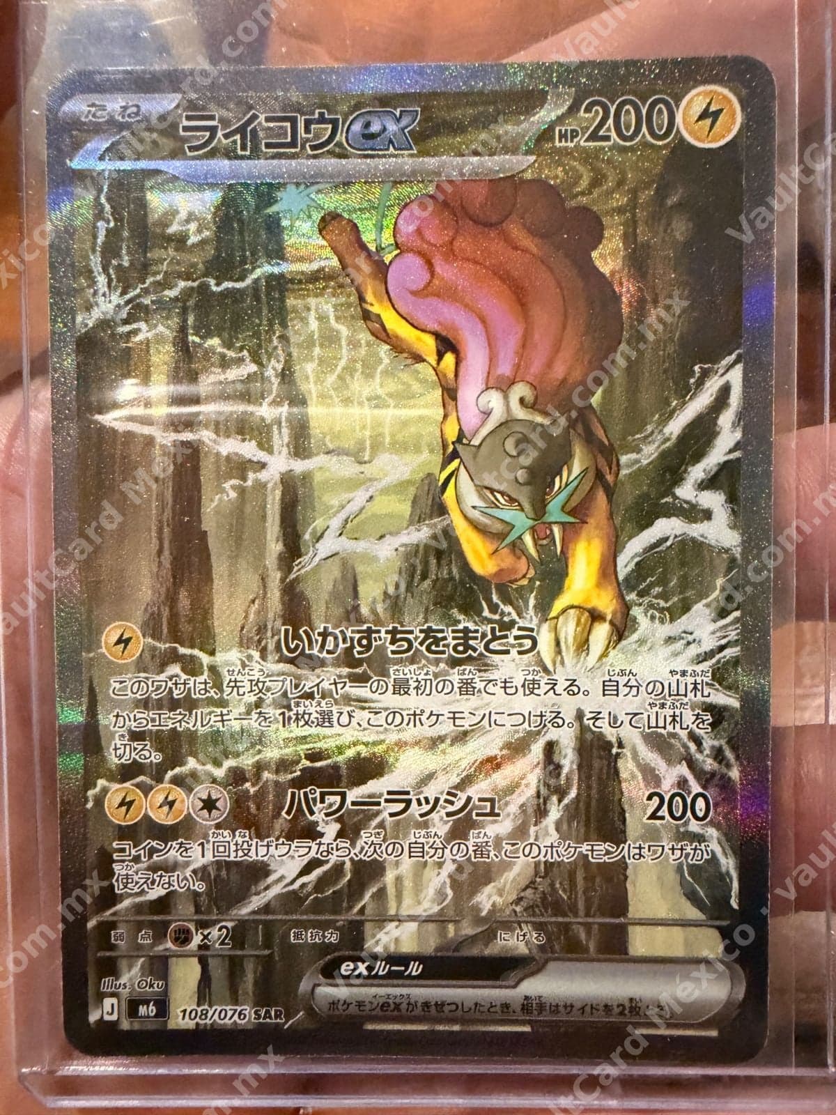 Raikou ex SAR 108/076 (M6) Japonés
