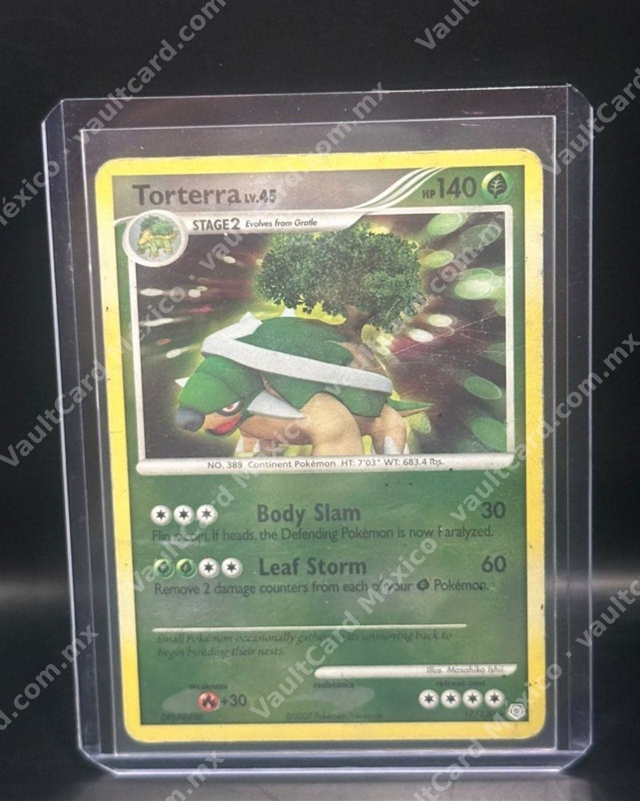 Torterra · Holo 2007 · Diamond & Pearl 17/130