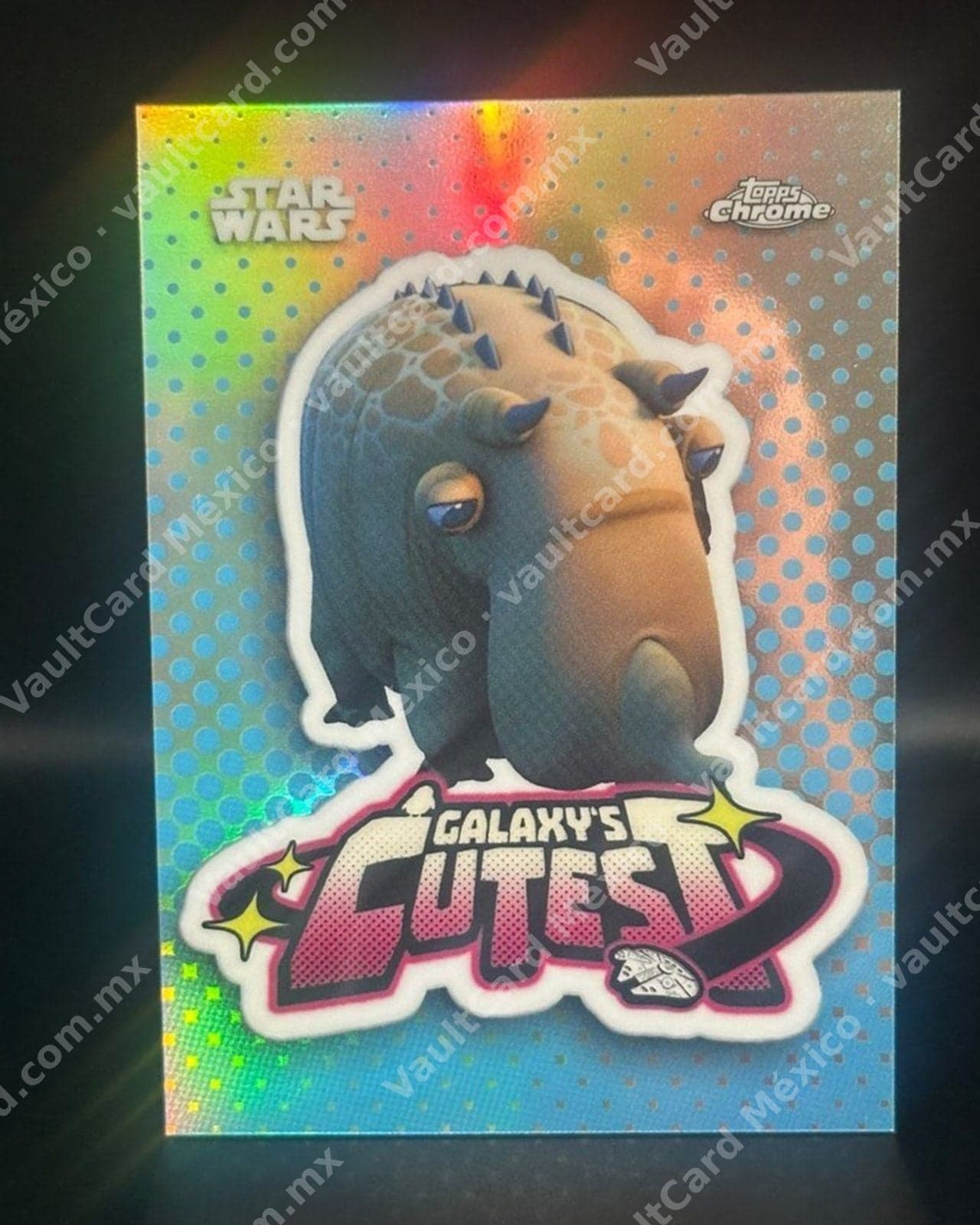 Puffer Pig · The Galaxy's Cutest