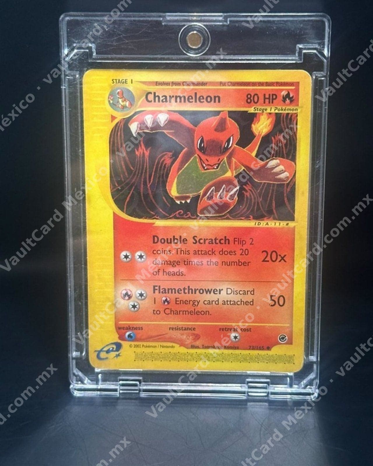 Charmeleon · e-Card 2002 · Expedition 73/165