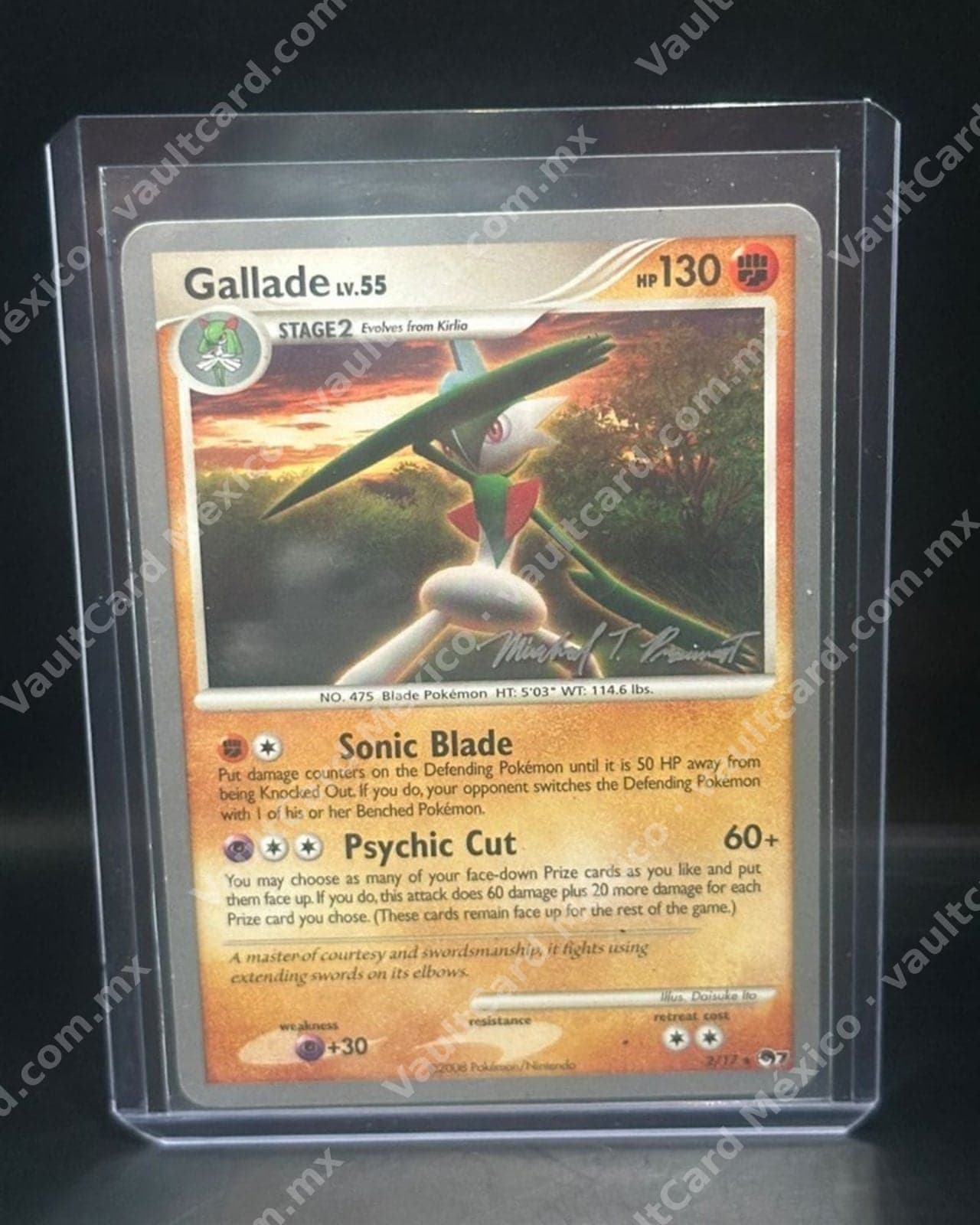 Gallade · Mundial 2010 · World Championships 2010