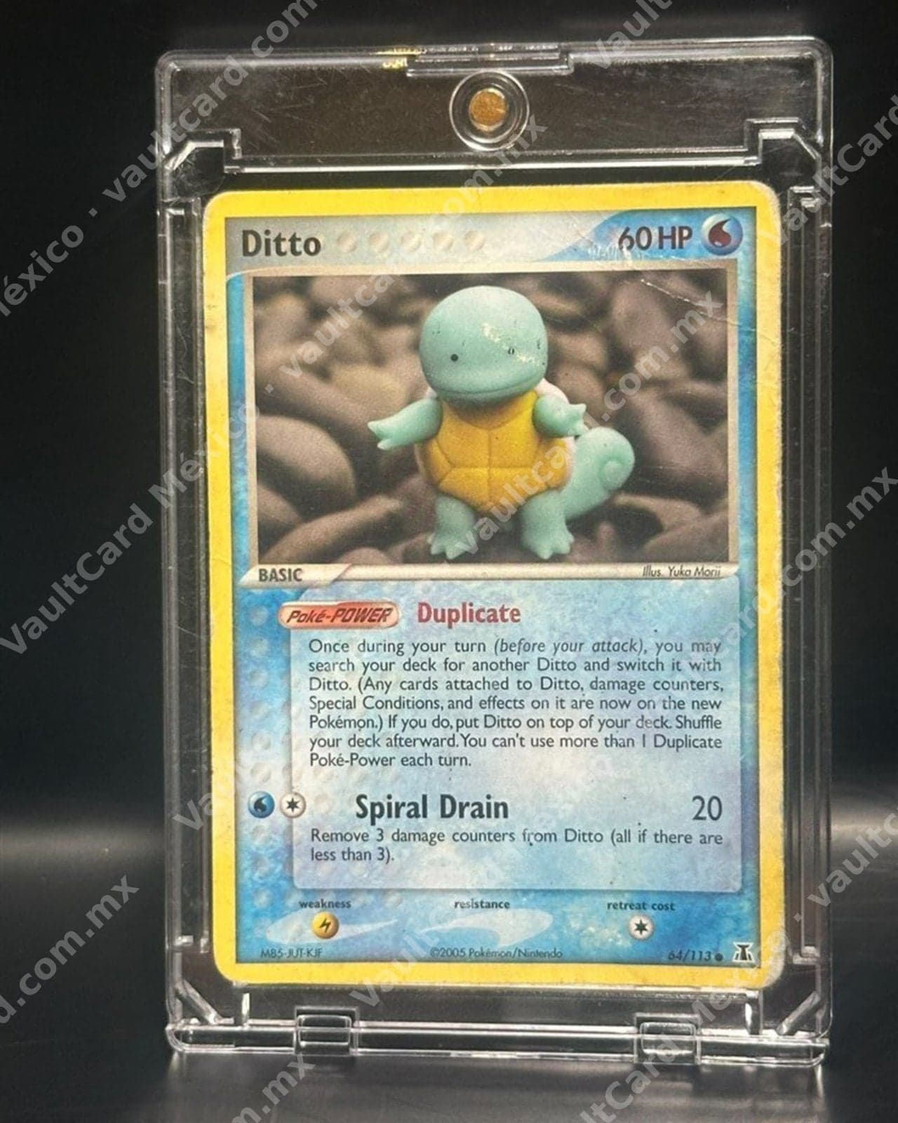 Ditto (Squirtle) δ · 2005 · EX Delta Species 64/113