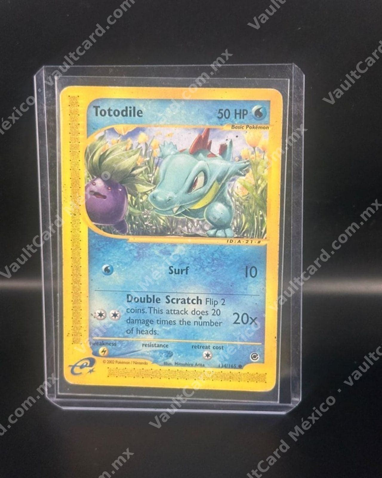 Totodile · Expedition 2002 · Expedition Base Set 134/165
