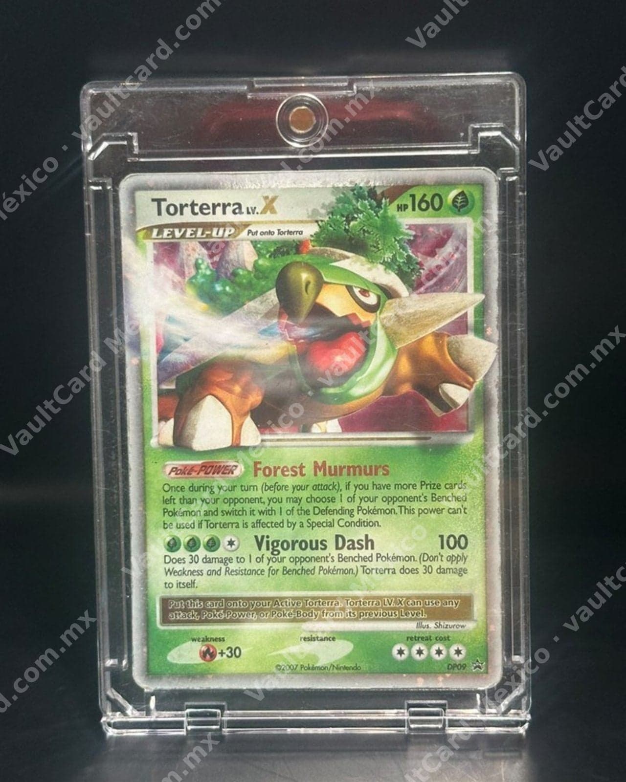 Torterra LV.X · Promo 2007 · Promo Black Star DP09
