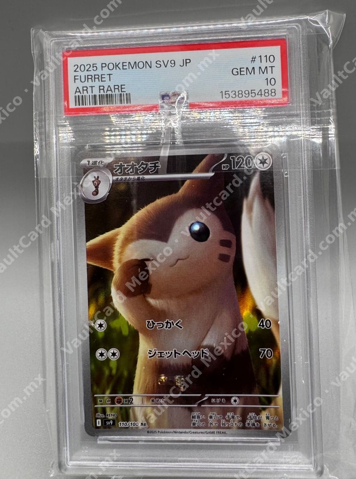 Furret 110/100 AR - SV9 Japonés PSA 10 GEM MINT