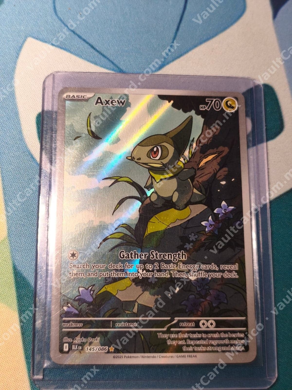 Axew 145/086 - (BLK) Inglés - Illustration Rare
