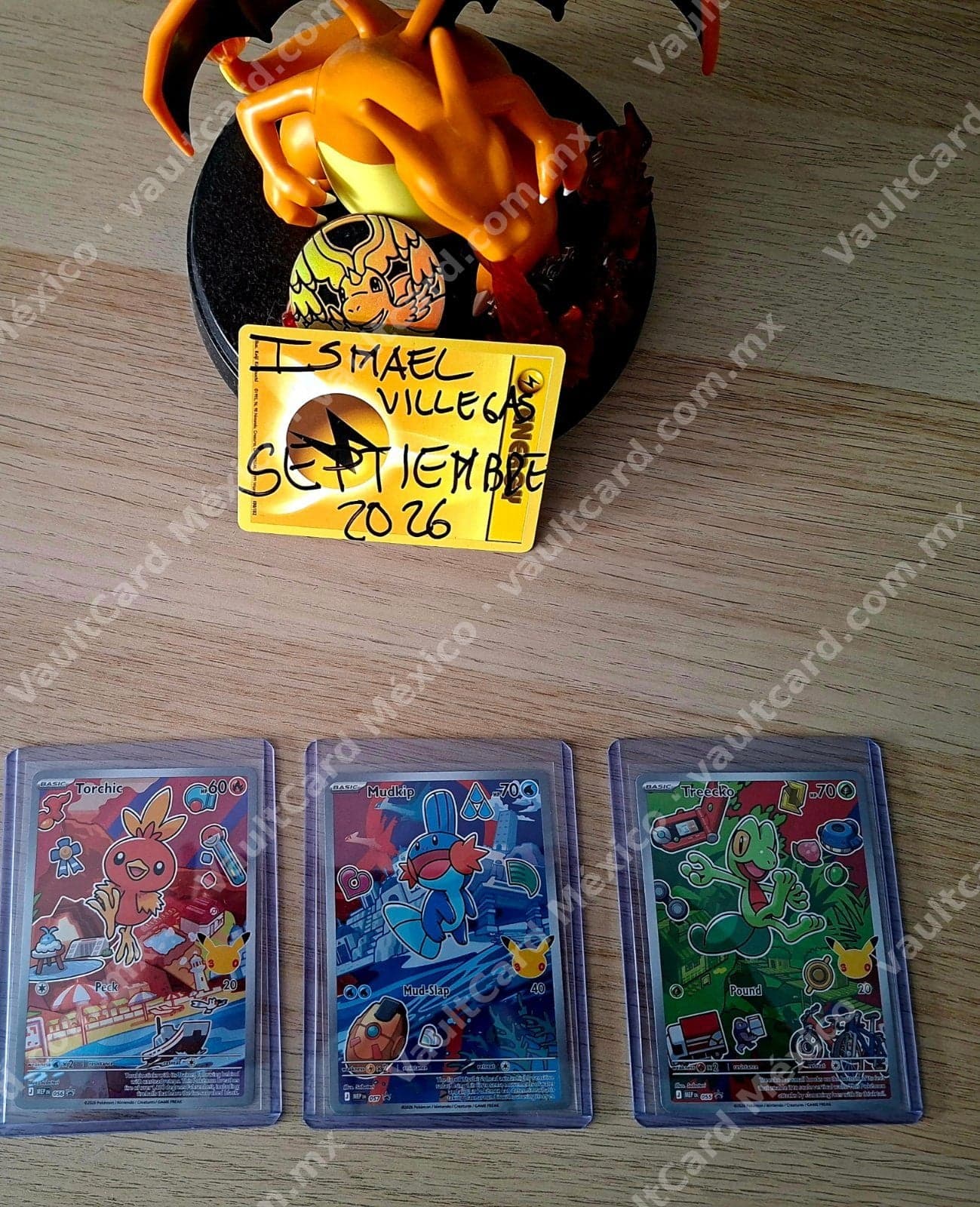 Lote Torchic 056, Mudkip 057 y Treecko 055 - (MEP) Illustration Rare Inglés