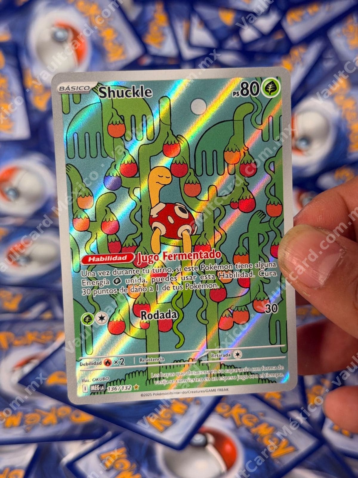 Shuckle 136/132 - (MEG) Español - Carta Ilustración