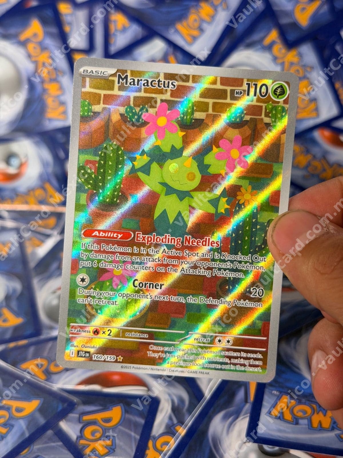 Maractus 160/159 - (JTG) Inglés - Illustration Rare