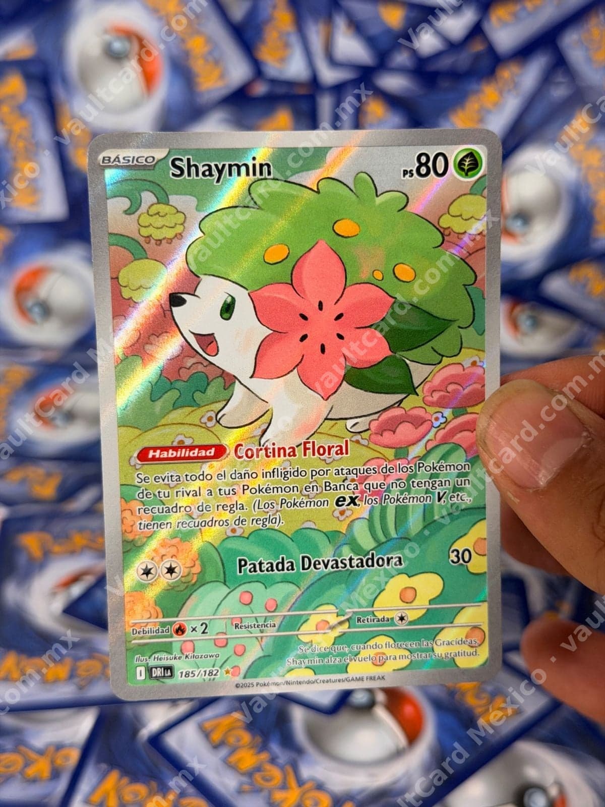 Shaymin 185/182 - (DRI) Español - Illustration Rare