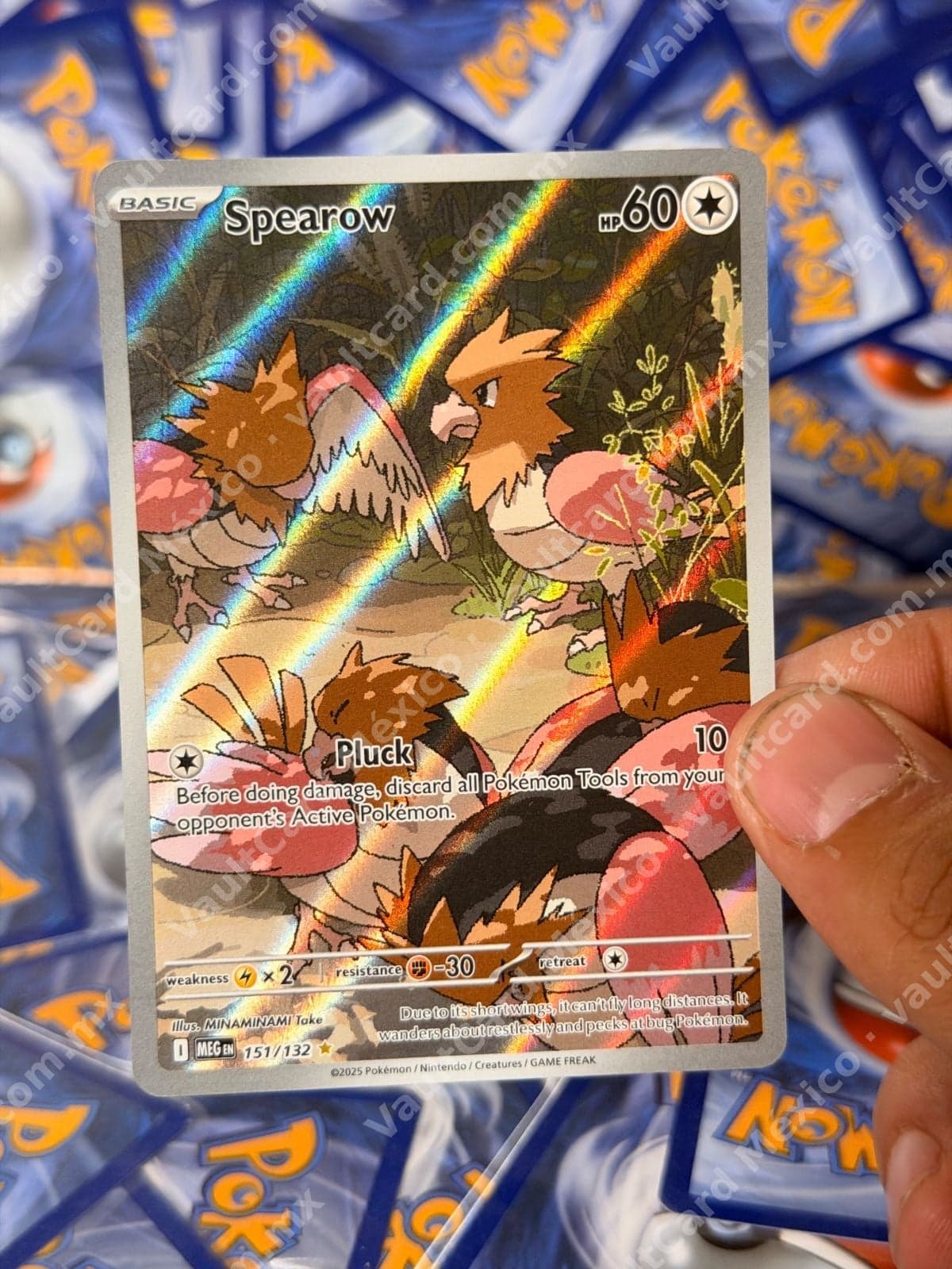 Spearow 151/132 - (MEG) Inglés - Illustration Rare