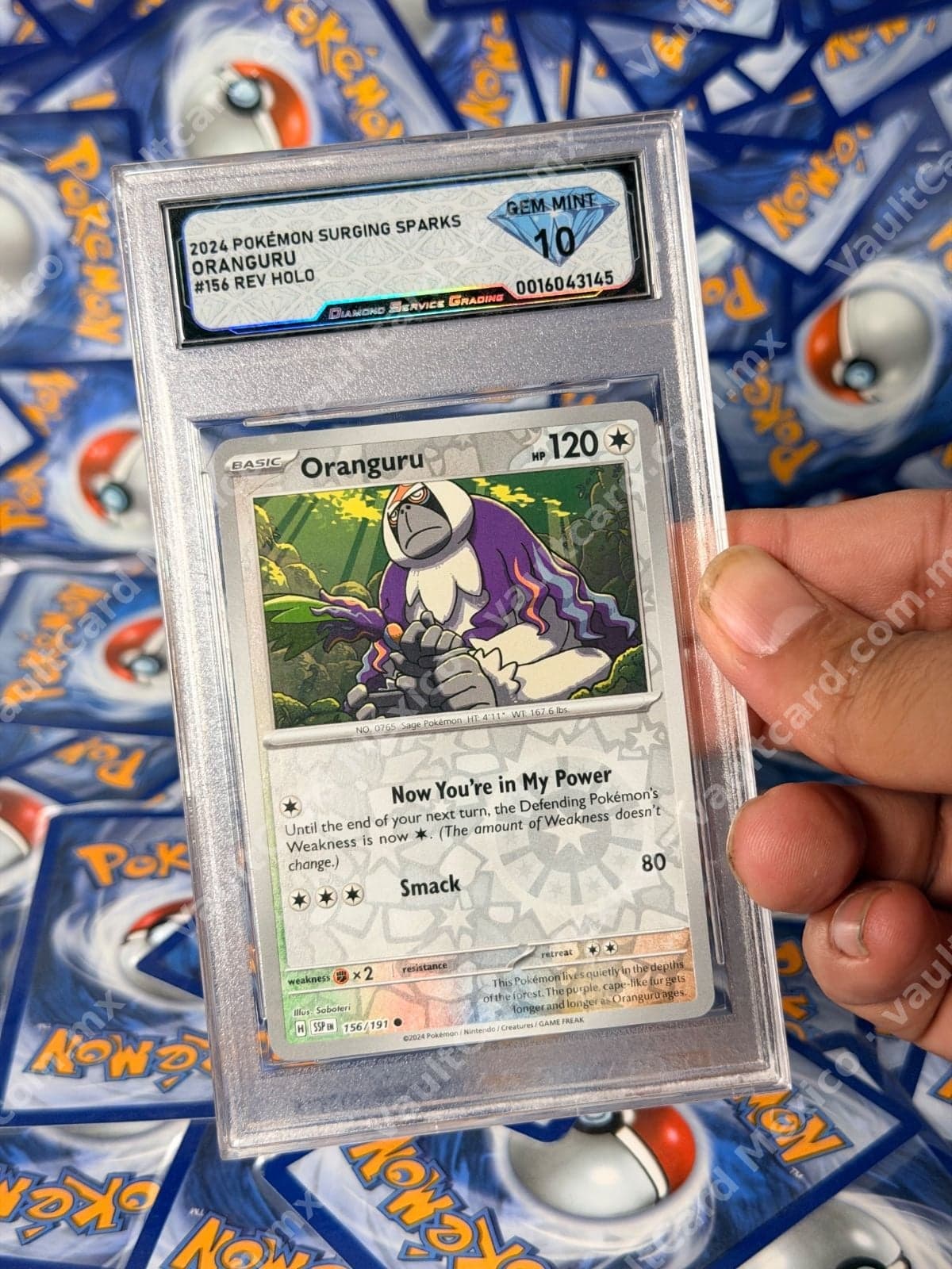 Oranguru 156/191 Reverse Holo - Surging Sparks (SSP) Inglés - DSG Gem Mint 10