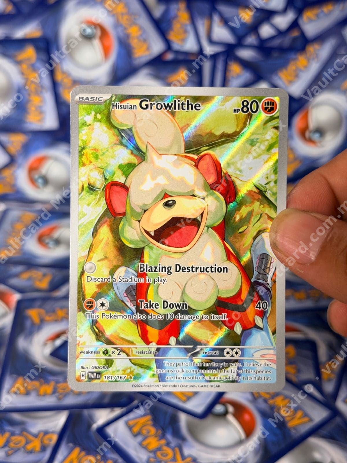 Hisuian Growlithe 181/167 - Twilight Masquerade (TWM) Inglés - Illustration Rare