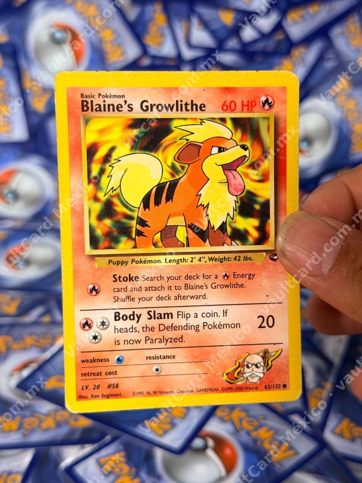 Blaine's Growlithe 62/132 - Gym Challenge Inglés