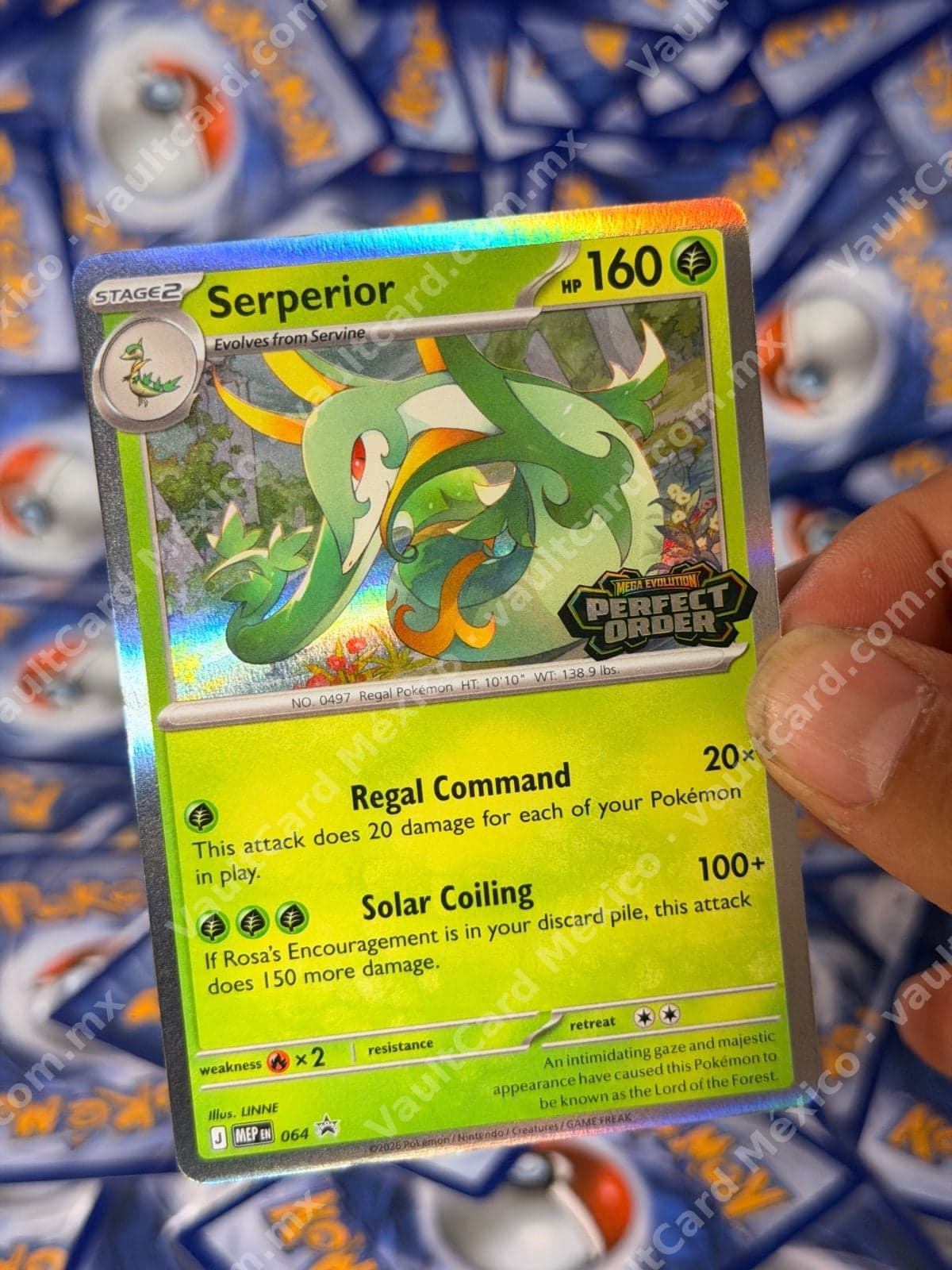 Serperior 064 Promo (MEP) Mega Evolution Perfect Order - Inglés