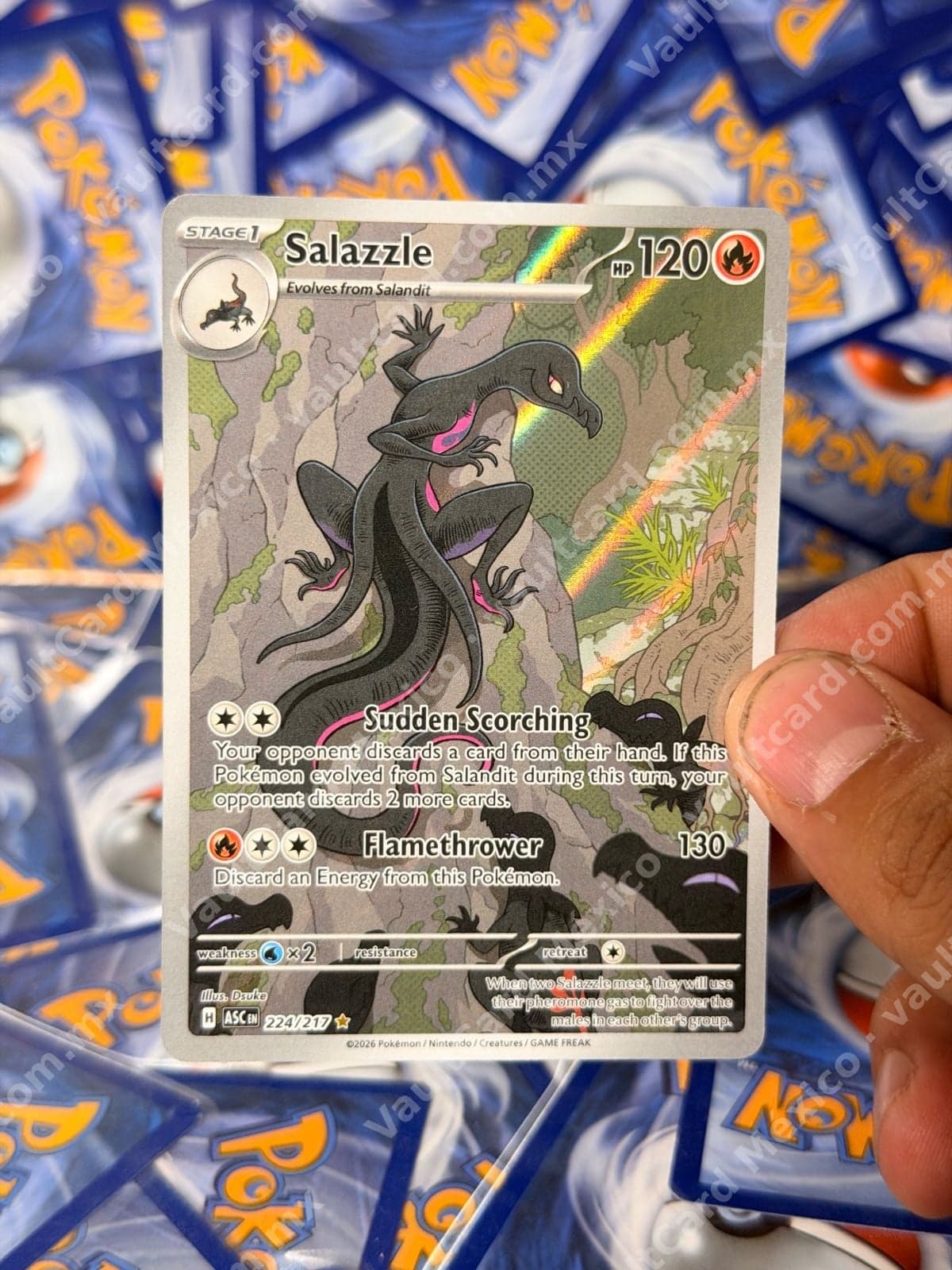 Salazzle 224/217 - (ASC) Inglés - Illustration Rare