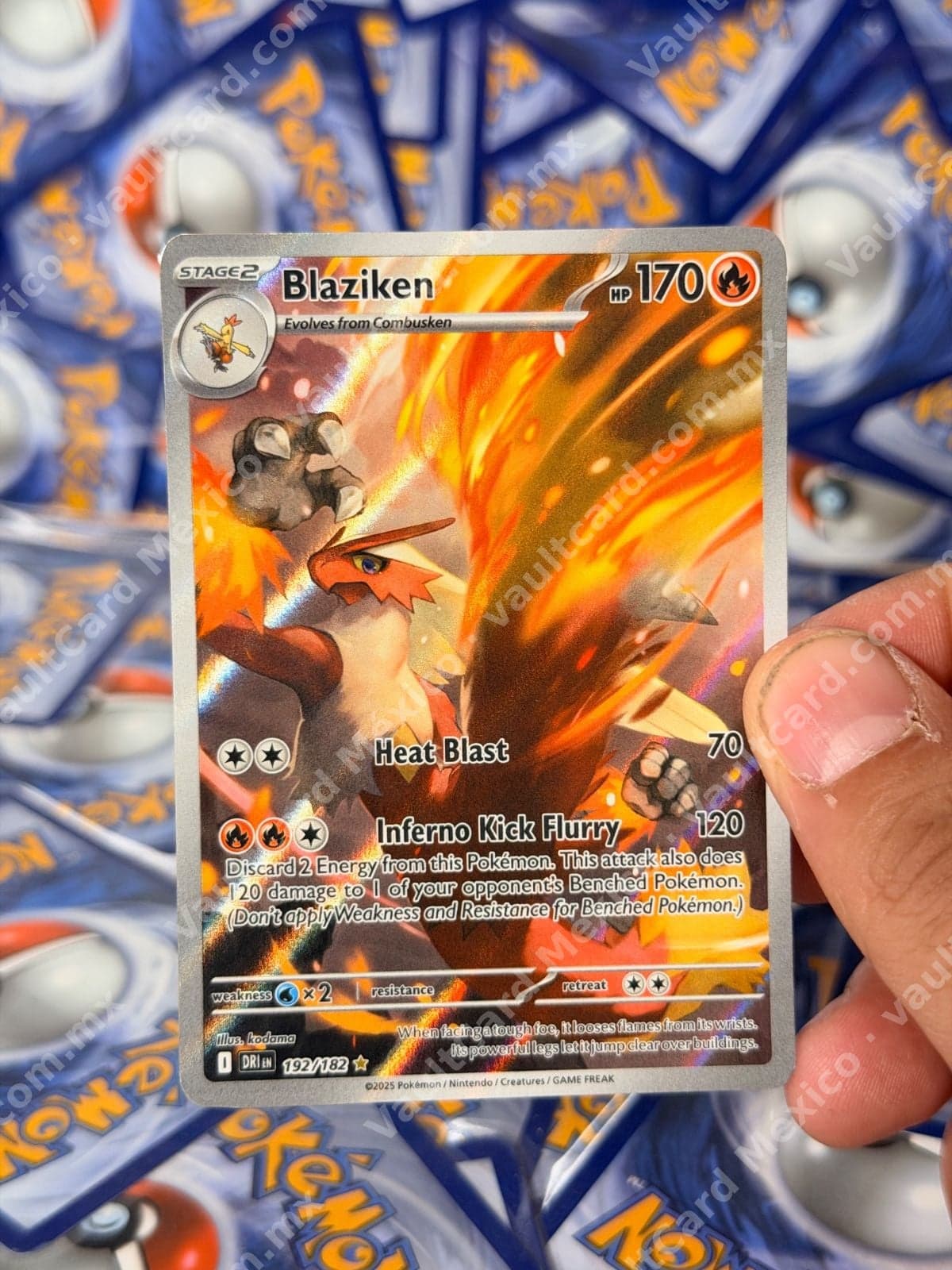 Blaziken 192/182 - (DRI) Illustration Rare Inglés