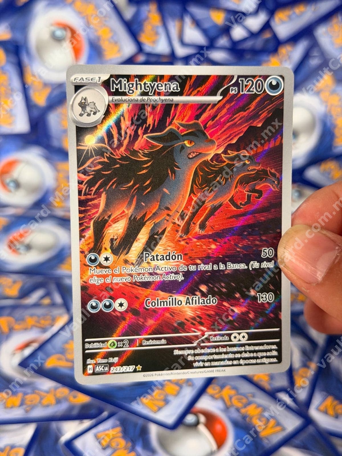 Mightyena 243/217 - (ASC) Español - Illustration Rare