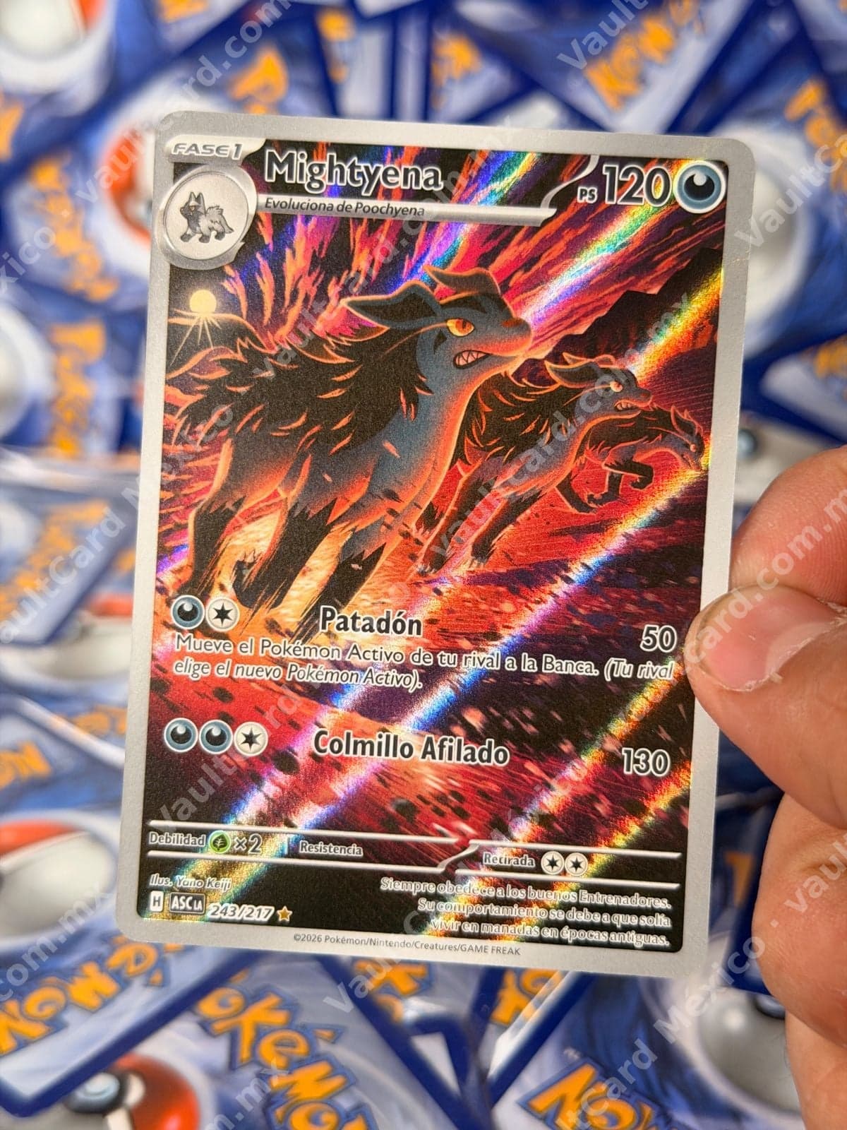 Mightyena 243/217 (ASC) Español - Carta Illustration Rare