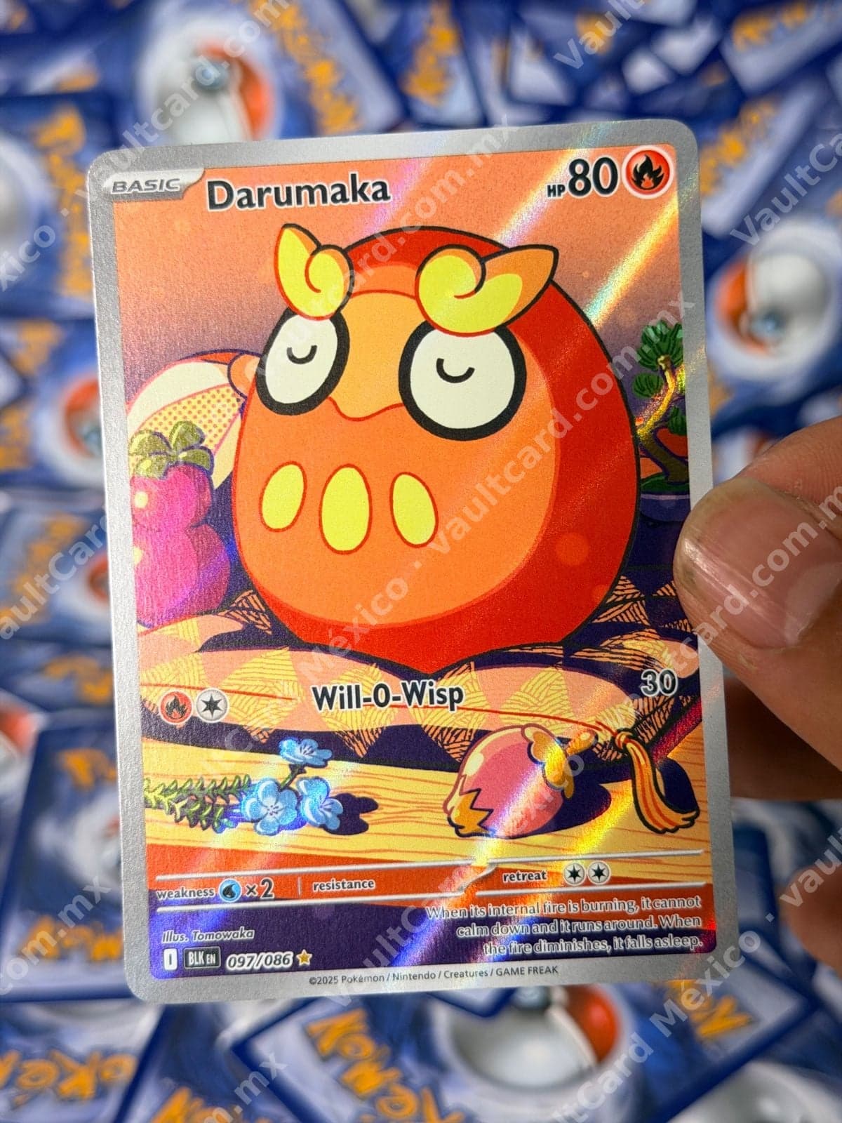 Darumaka 097/086 - (BLK) Inglés - Illustration Rare