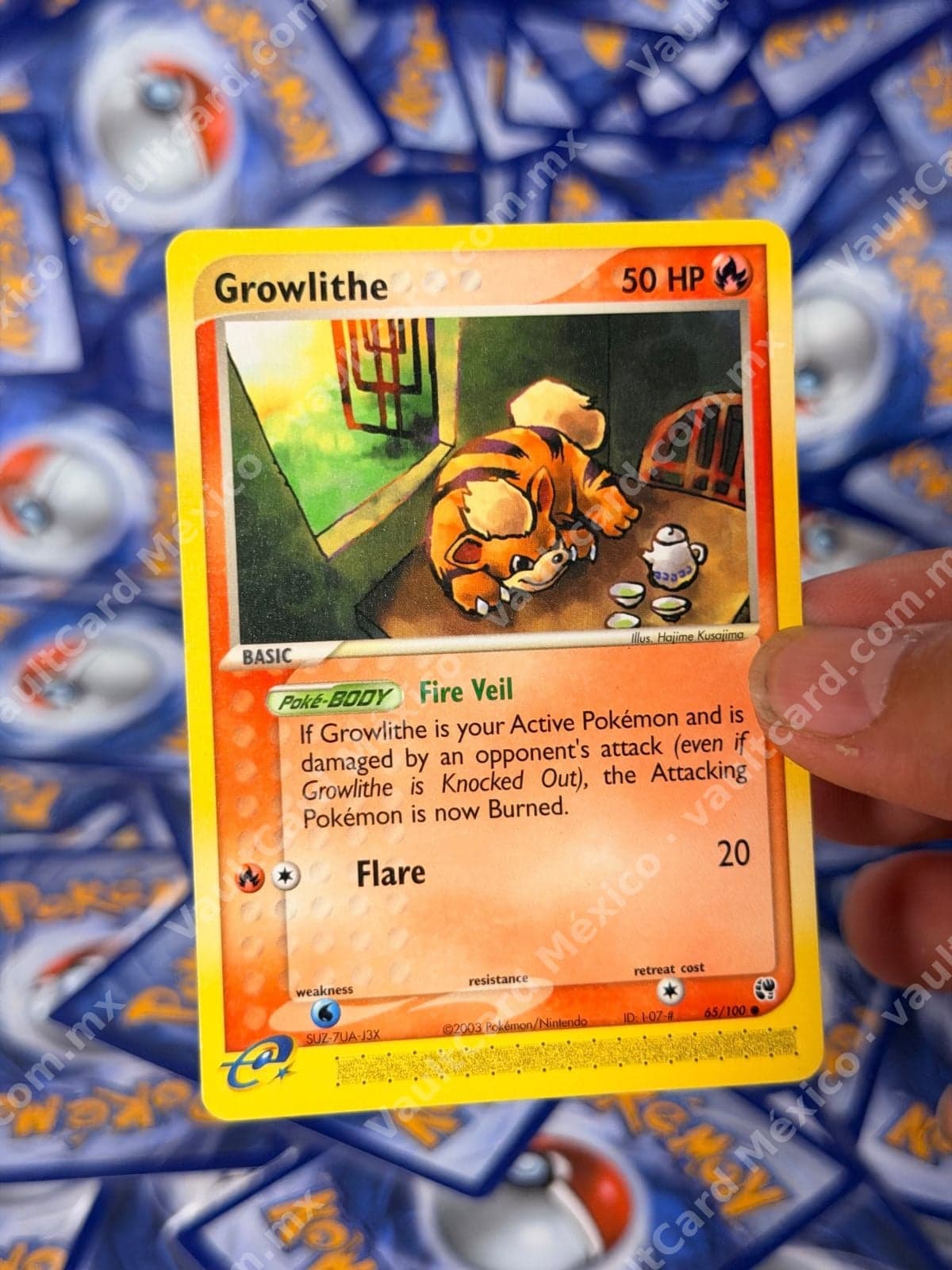 Growlithe 65/100 - EX Sandstorm Inglés