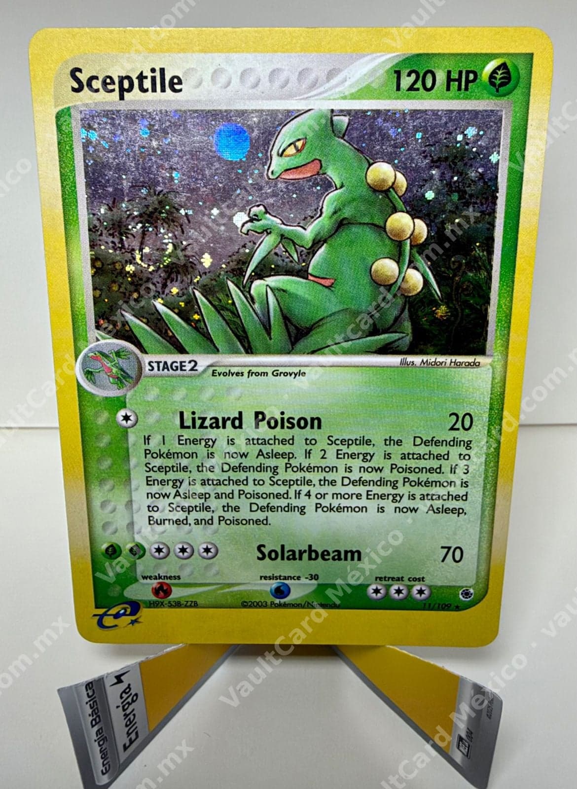 Sceptile 11/109 - EX Ruby & Sapphire Holo Inglés