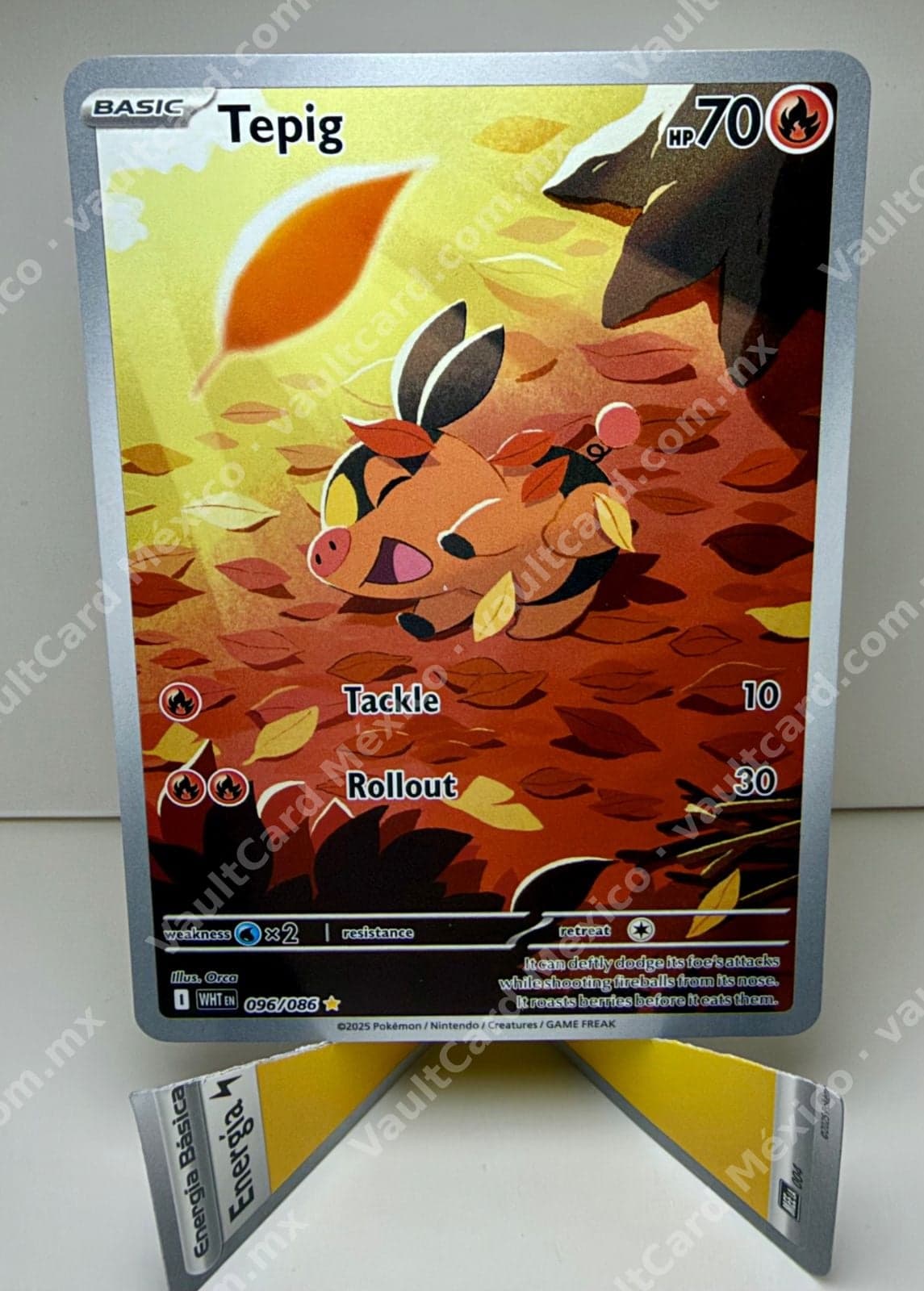 Tepig 096/086 - (WHT) Inglés - Illustration Rare