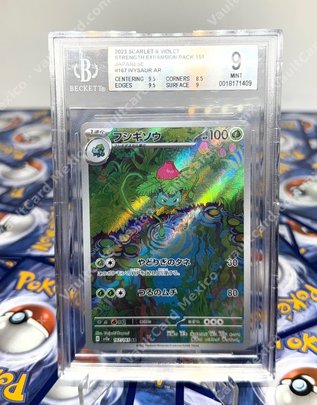Ivysaur (Fushigisou) AR 167/165 - Pokémon 151 (sv2a) Japonés - BGS 9 MINT