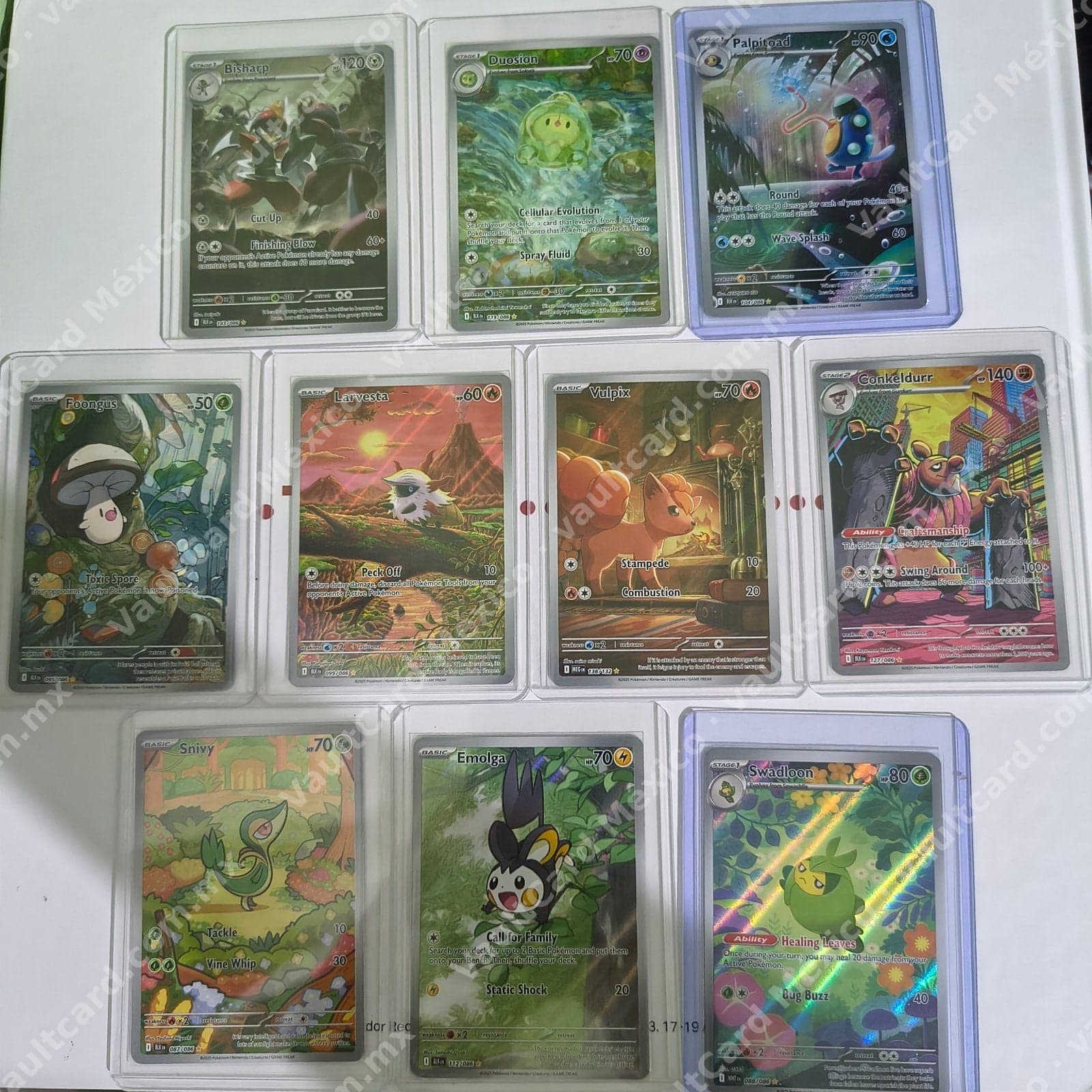 Lote de 10 Cartas Pokémon TCG - Illustration Rare / Art Rare (BLK) Inglés