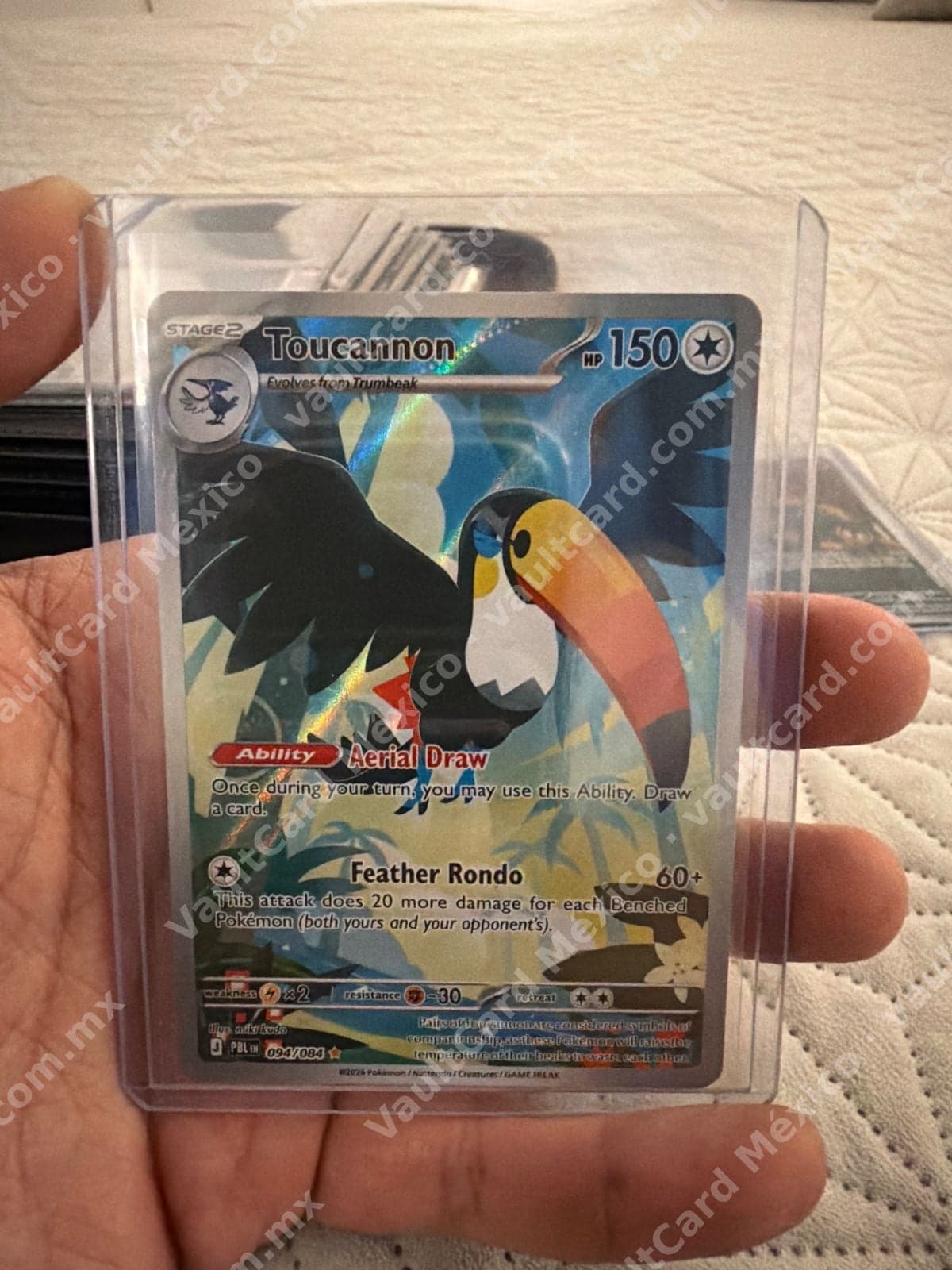 Toucannon 094/084 - Illustration Rare (PBL) Inglés