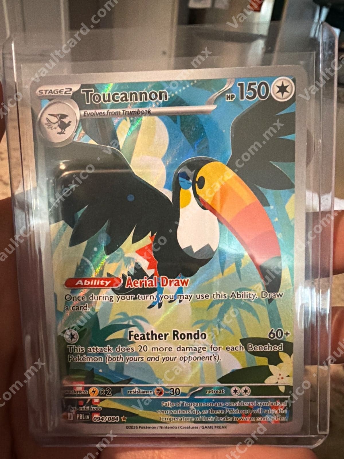 Toucannon 094/084 - (PBL) Inglés - Illustration Rare