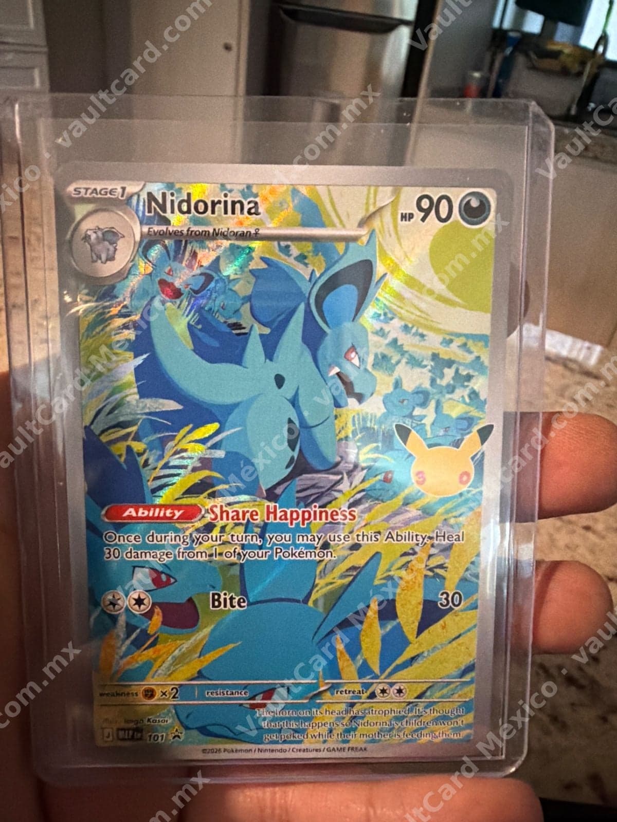 Nidorina 101 Promo (MEP) Inglés - Carta Holo Illustration