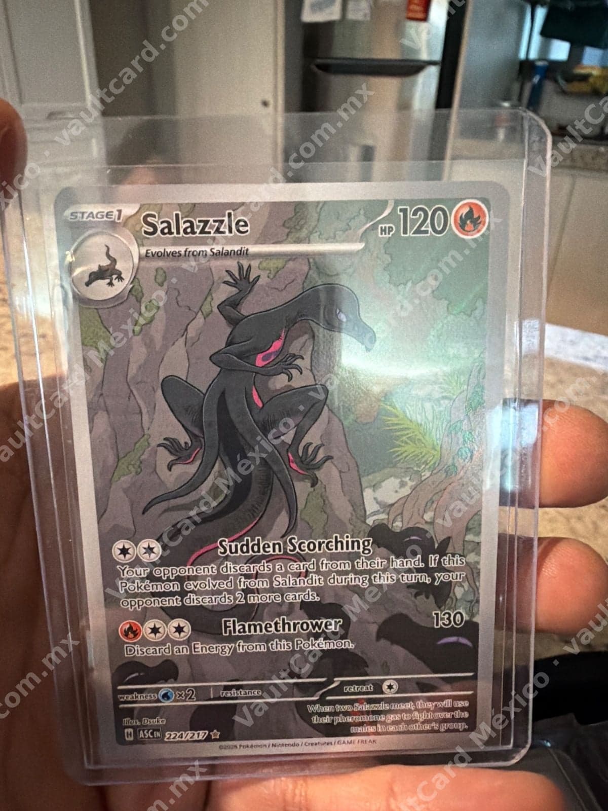 Salazzle 224/217 - (ASC) Inglés - Illustration Rare
