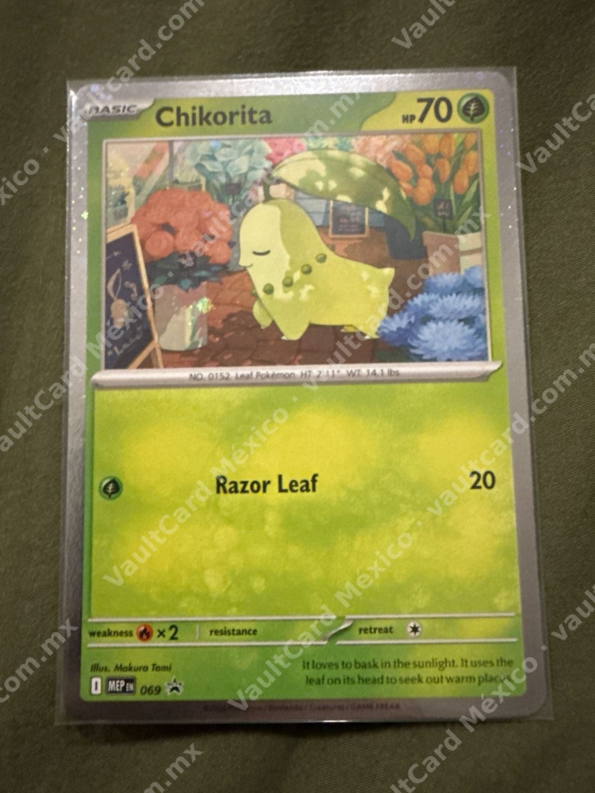 Chikorita 069 - Promo (MEP) Inglés — foto 1