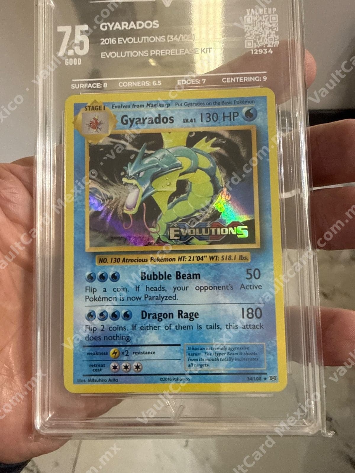Gyarados 34/108 - Evolutions (EVO) Inglés - ValueUp 7.5