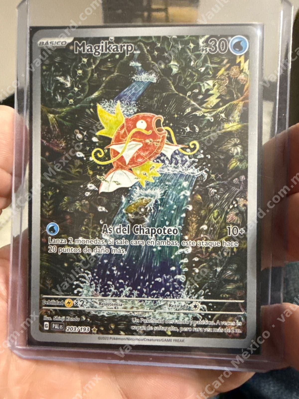 Magikarp 203/193 - Paldea Evolved (PAL) Español - Illustration Rare