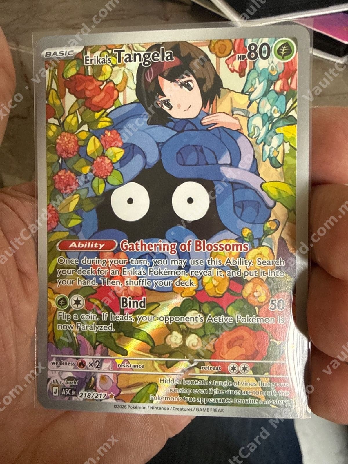Erika's Tangela 218/217 - (ASC) Inglés - Illustration Rare