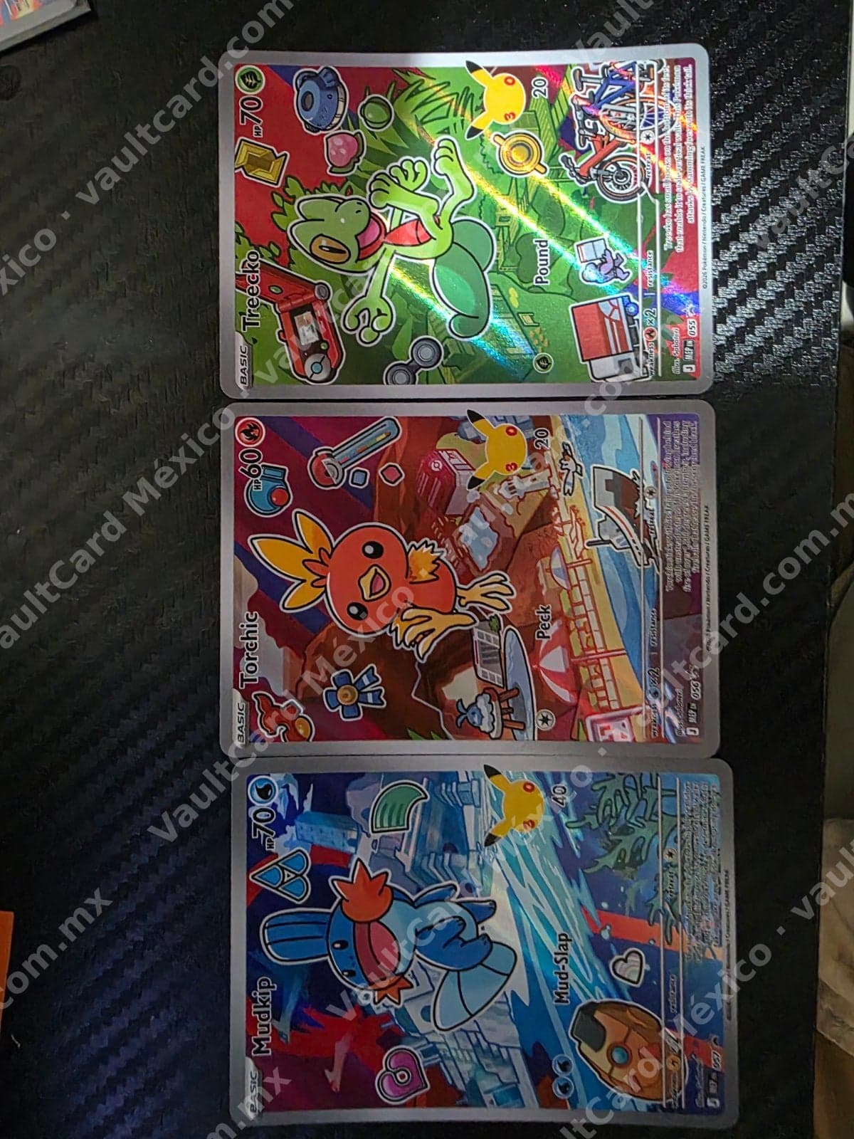 Lote Treecko, Torchic y Mudkip - Illustration Rare (MEP) Inglés