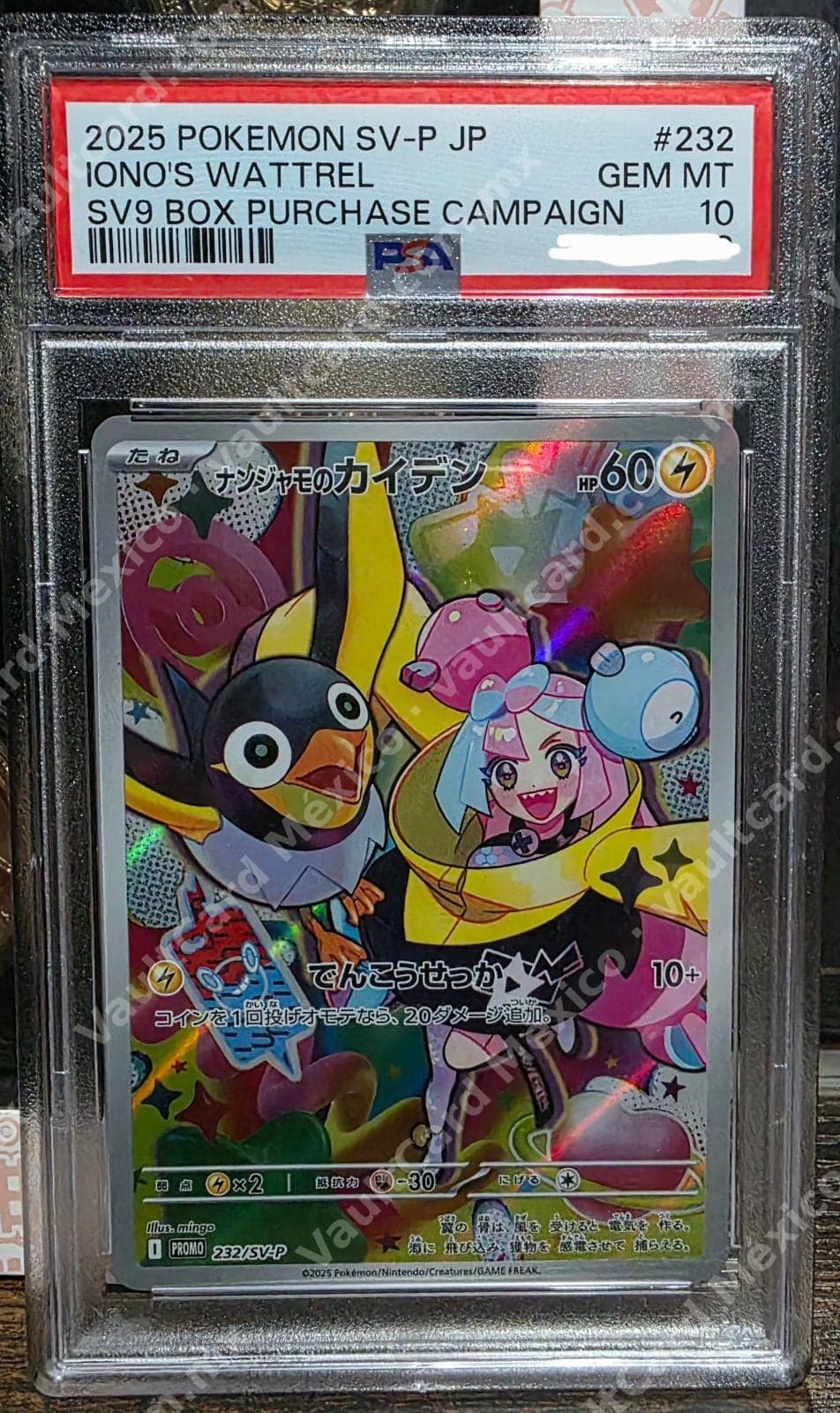 Iono's Wattrel 232/SV-P PSA 10 GEM MT - Promo Japonés