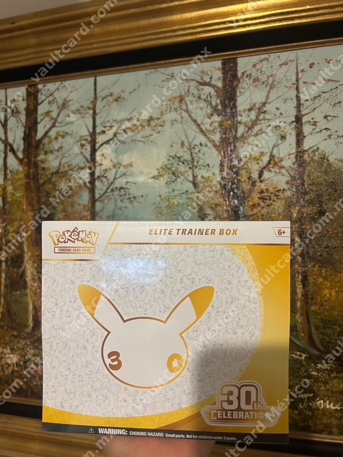 Pokémon TCG Elite Trainer Box 30th Celebration - Inglés Sellado