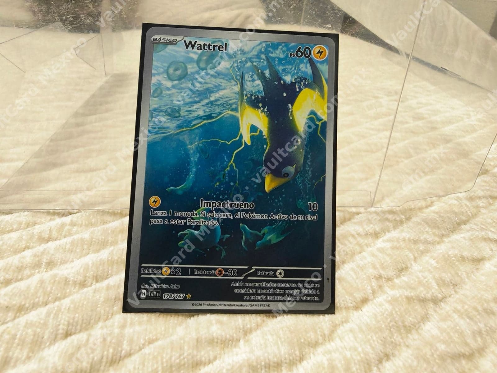 Wattrel 178/167 - TWM Español (Illustration Rare)