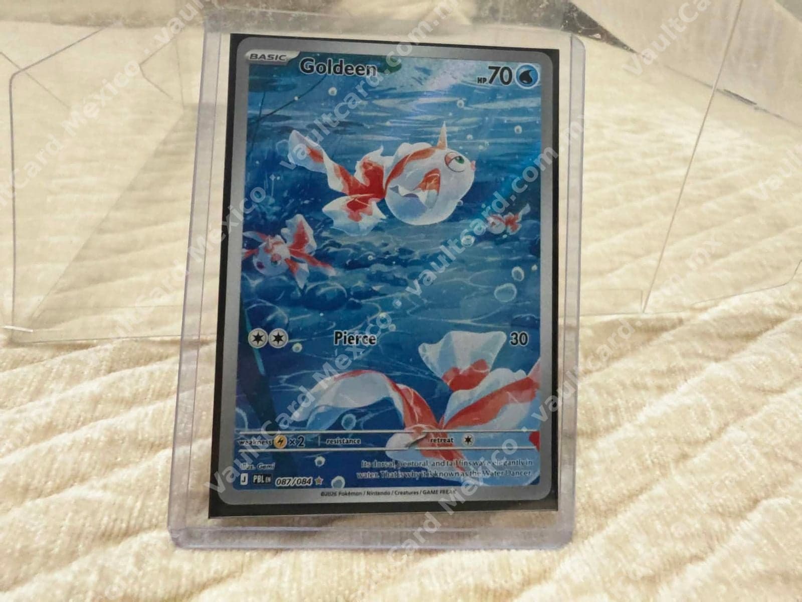 Goldeen 087/084 - (PBL) Inglés - Illustration Rare