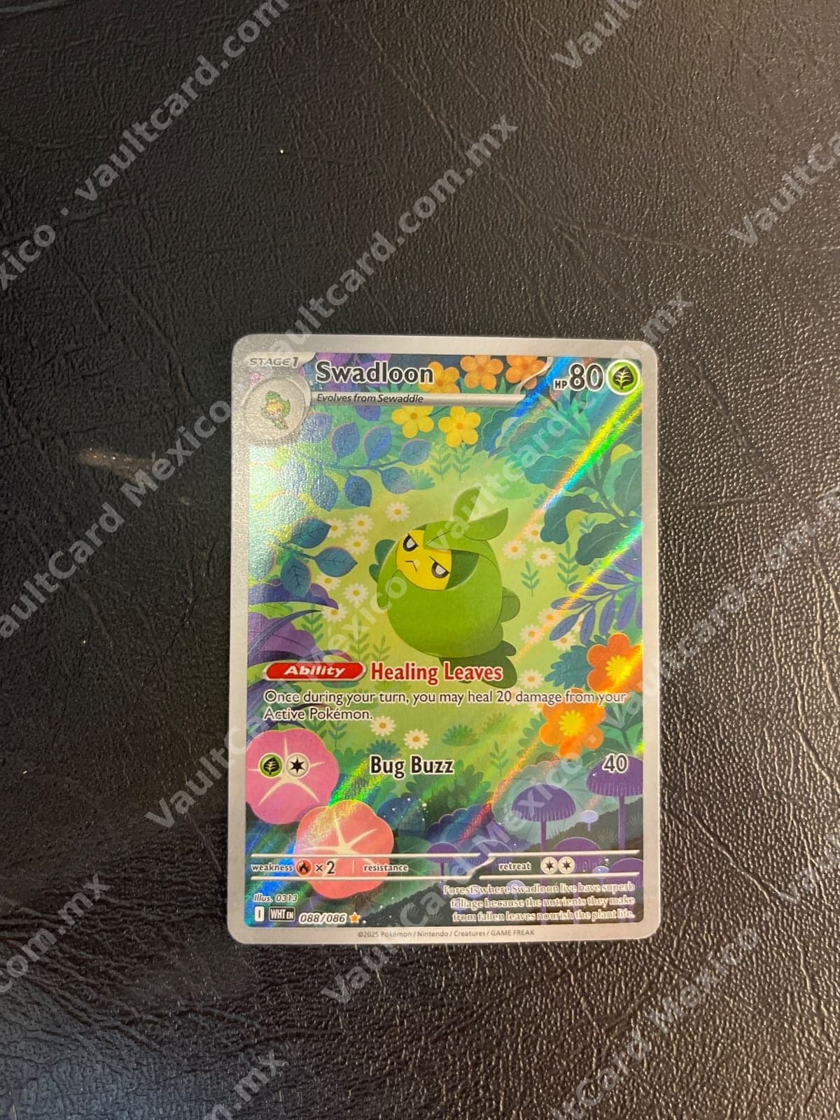 Swadloon 088/086 - (WHT) Inglés - Illustration Rare