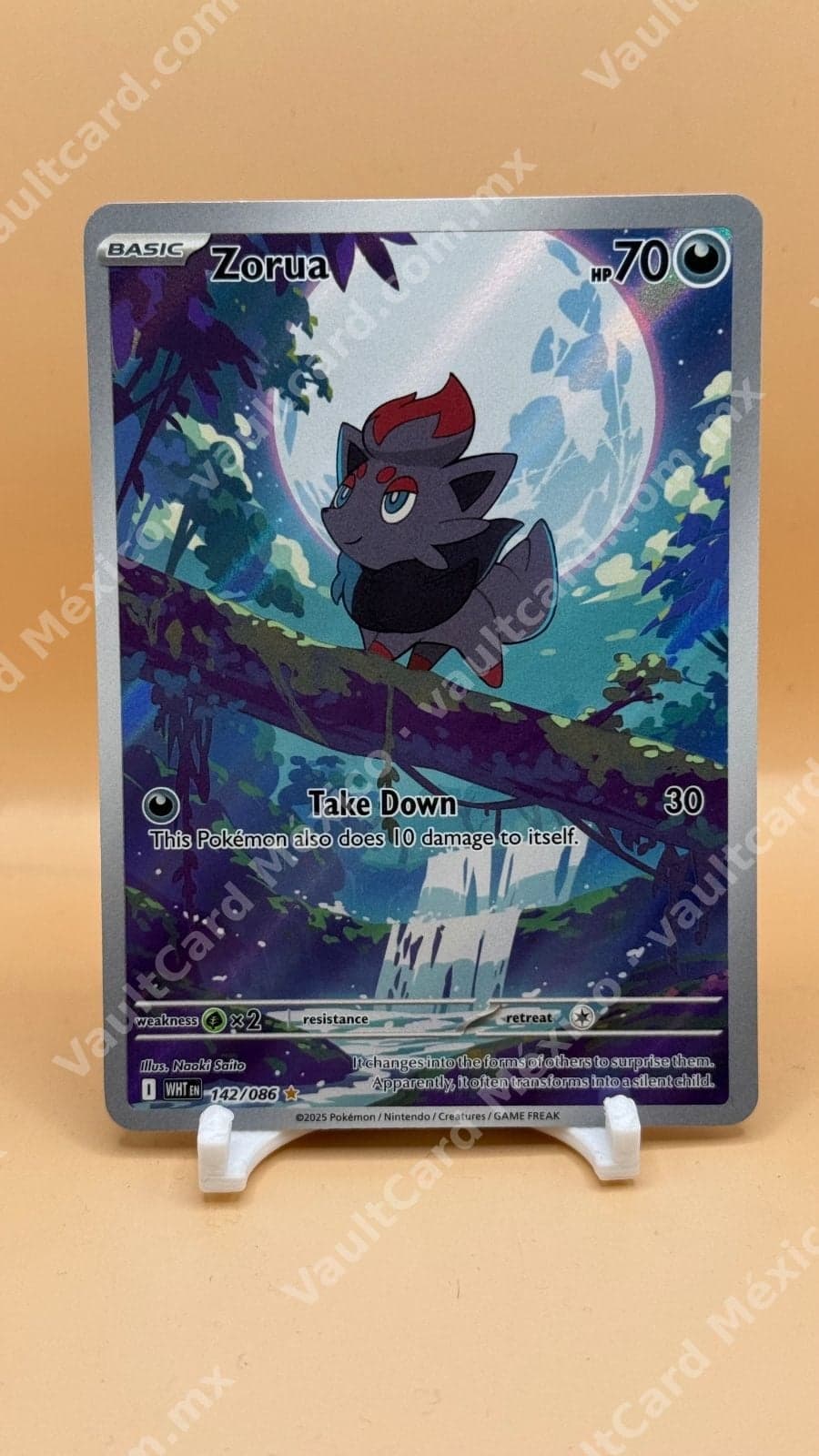 Zorua 142/086 - (WHT) Inglés - Illustration Rare
