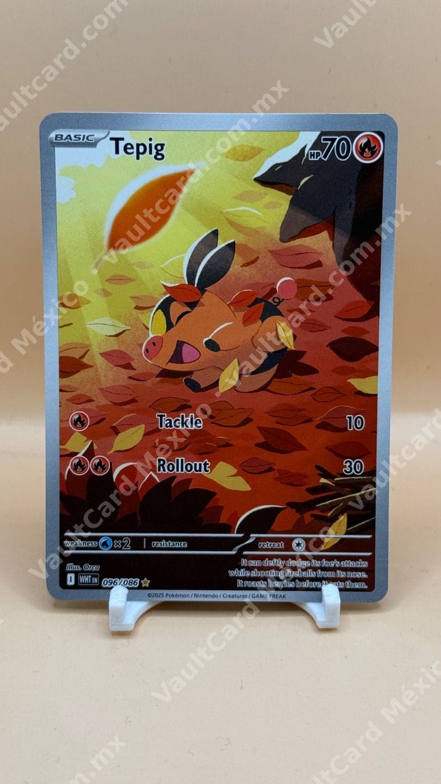 Tepig 096/086 - (WHT) Inglés - Illustration Rare