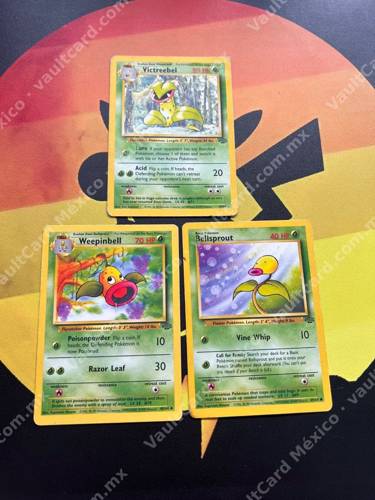 Lote Línea Evolutiva Bellsprout - Victreebel 30/64, Weepinbell 48/64, Bellsprout 49/64 - Jungle Inglés