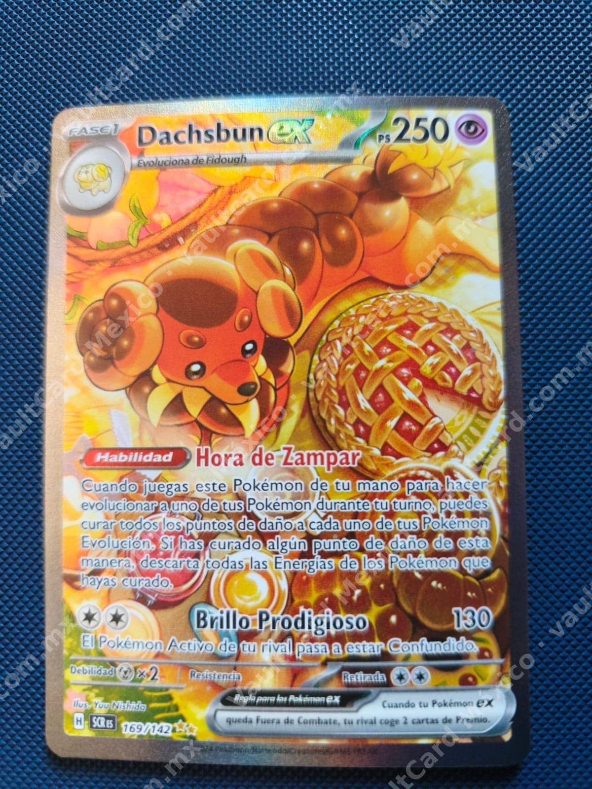 Dachsbun ex 169/142 - SIR (SCR) Español