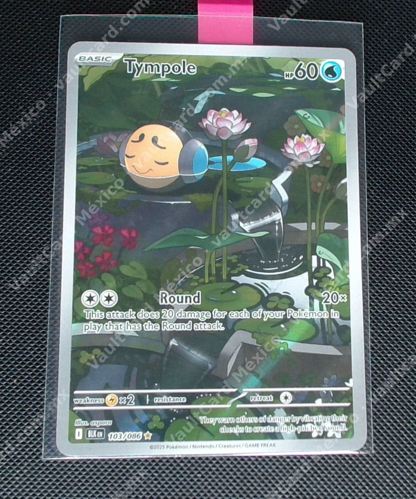 Tympole 103/086 - (BLK) Inglés - Illustration Rare