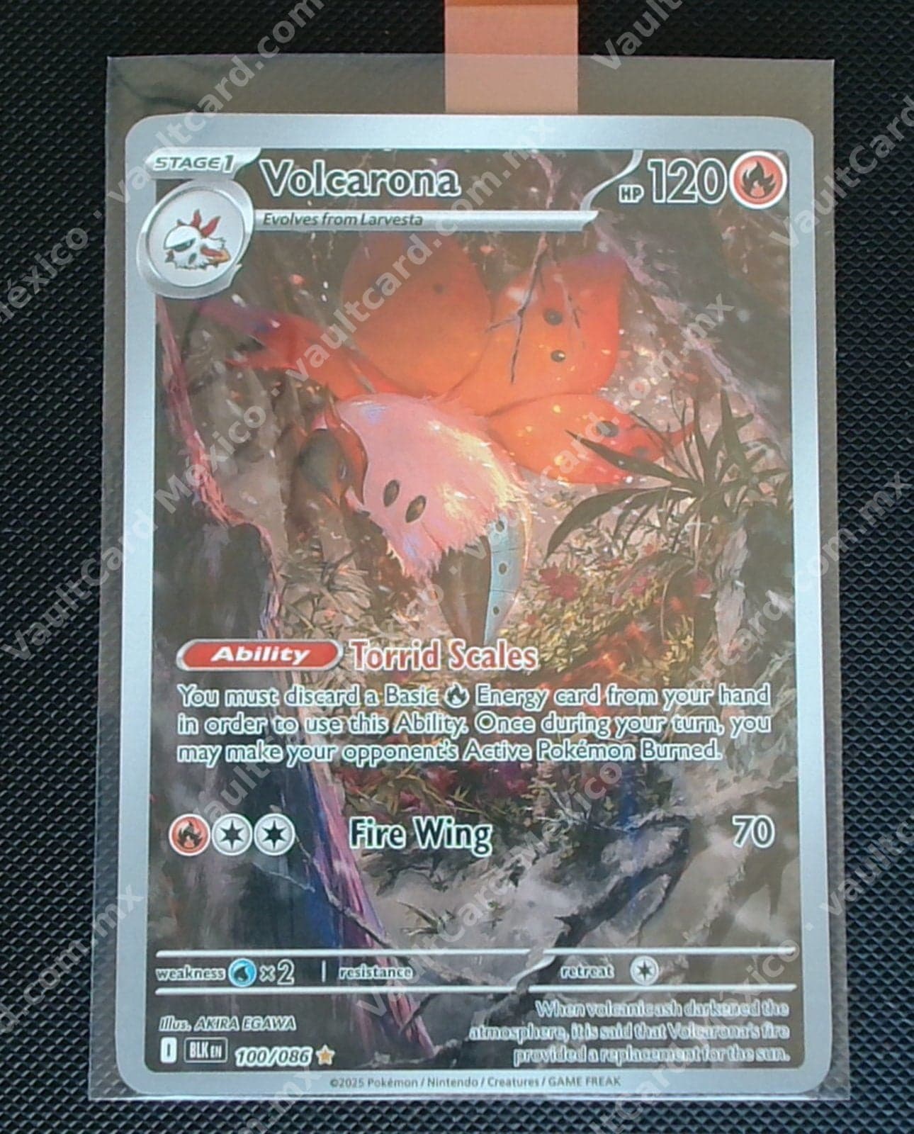 Volcarona 100/086 - (BLK) Inglés - Illustration Rare