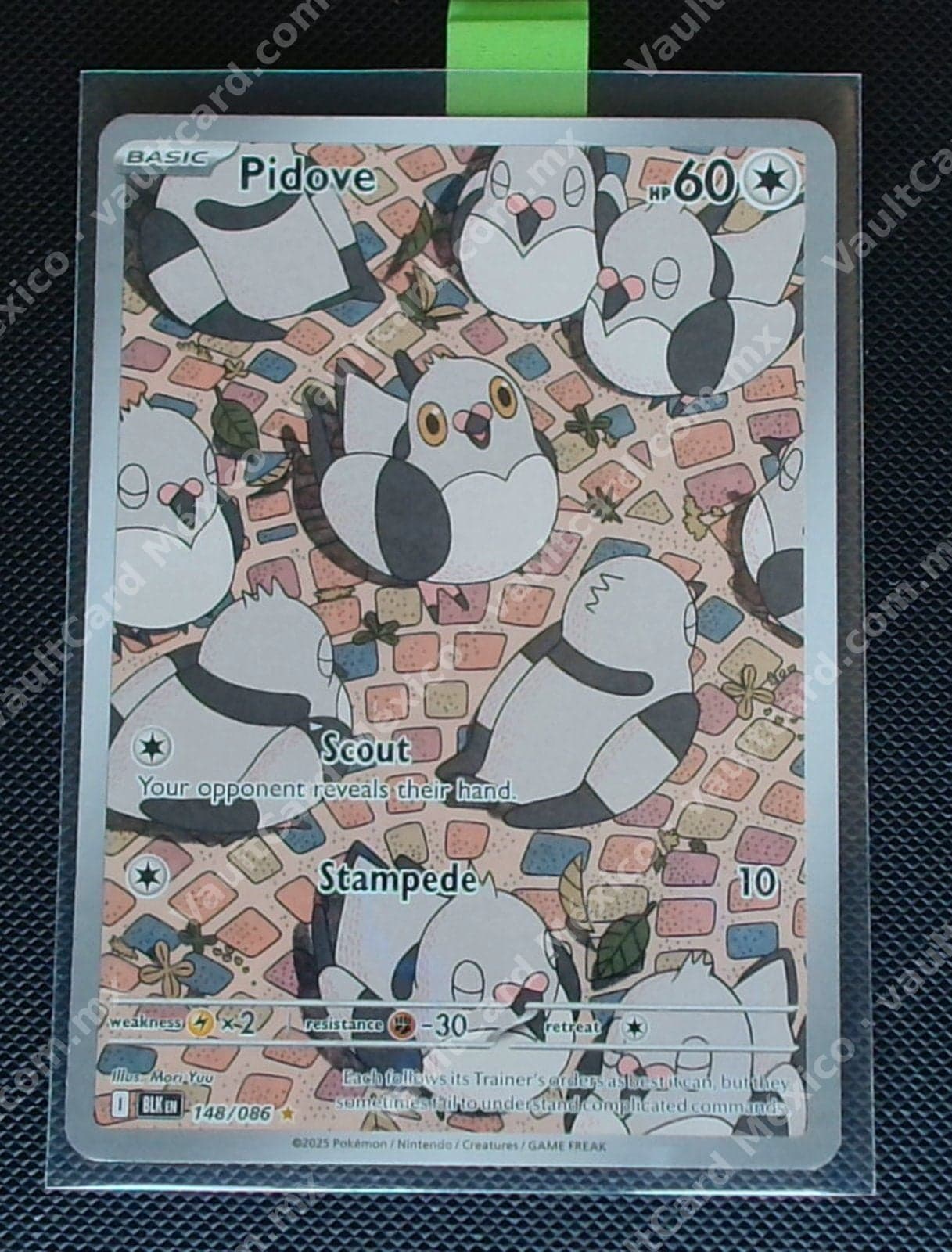 Pidove 148/086 - (BLK) Inglés - Illustration Rare